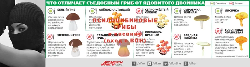 блэк спрут маркетплейс  Фрязино  Галлюциногенные грибы Psilocybine cubensis  продажа наркотиков 